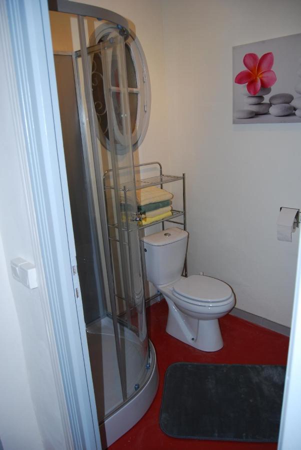 Villa A 100 M De Tarbes Sud Laloubere Zewnętrze zdjęcie